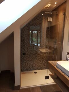 Hinged glass shower door sloping roof